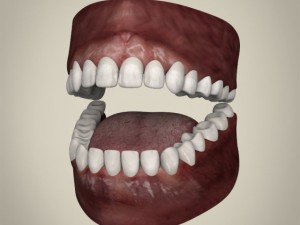 realistic young man Modelo 3D