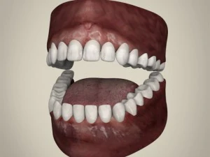 реалістичний молодий чоловік 3D Модель