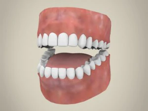 realistic young teen boy 3D Model