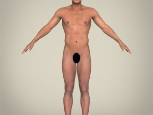 realistic muscular handsome guy 3D Model
