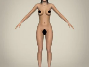 realistic young working woman 3D Model