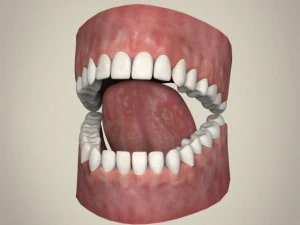 realistic young working woman 3D Model