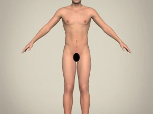 realistic young handsome man 3D Model