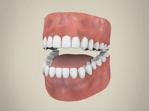 realistic young handsome man 3D Model