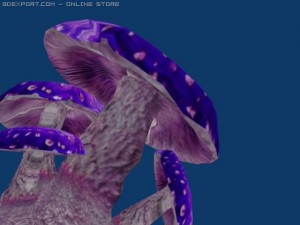 mushrooms Modello 3D