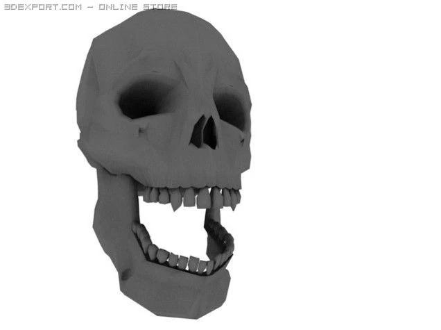 skull 3D Model .c4d .max .obj .3ds .fbx .stl .blend 