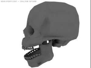 skull 3D 模型