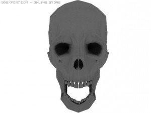 skull 3D 模型