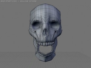 skull 3D 模型