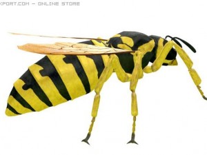 wasp 3D Model