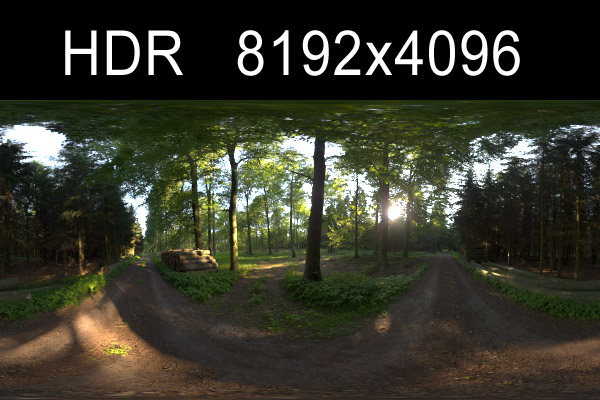 forest 1 hdr environment high res 3D Модель .c4d .max .obj .3ds .fbx .stl .blend 