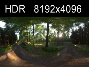 forest 1 hdr environment high res Model 3D