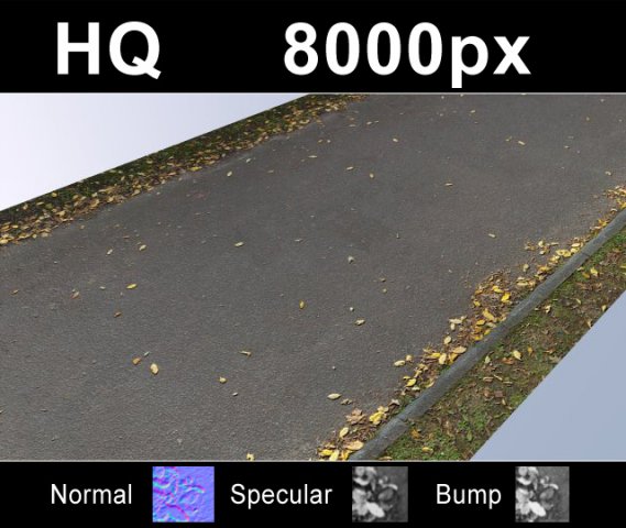 road with autumn leaves 2  hi res set CG Textures .c4d .max .obj .3ds .fbx .stl .blend 