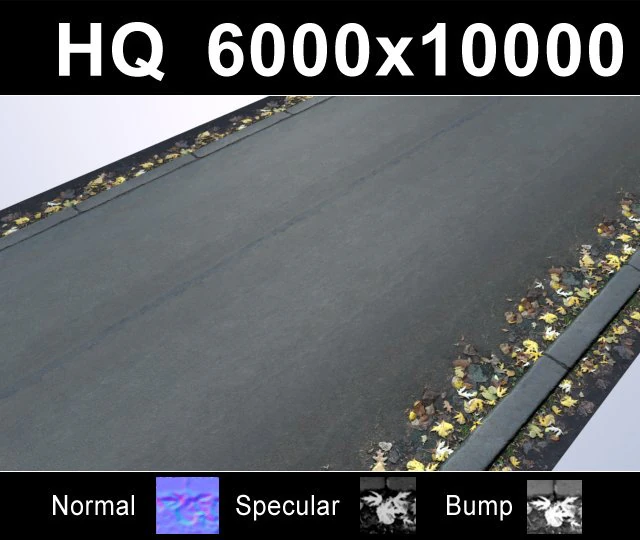 road with autumn leaves  high res set CG Textures .c4d .max .obj .3ds .fbx .stl .blend 