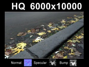 road with autumn leaves  high res set CG Textures