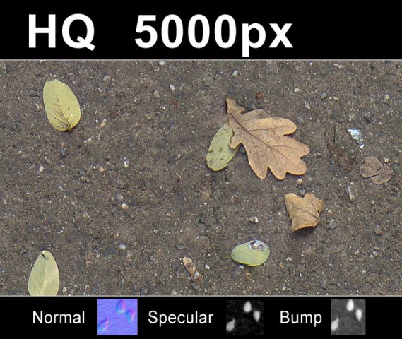 2x leaves on sand 2 high res set CG Tekstury .c4d .max .obj .3ds .fbx .stl .blend 