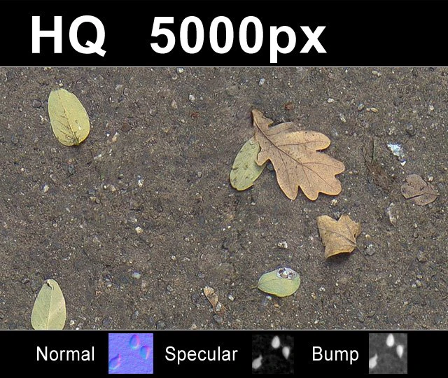 2x leaves on sand 2 high res set CG Textures .c4d .max .obj .3ds .fbx .stl .blend 