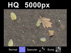 2x leaves on sand 2 high res set CG Textures