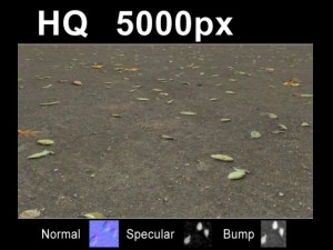 2x leaves on sand 2 high res set CG Textures