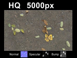 2x leaves on sand 2 high res set CG Tekstury