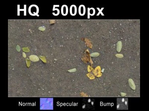 2x leaves on sand 2 high res set CG Textures
