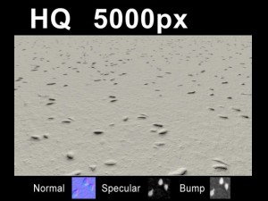 2x leaves on sand 2 high res set CG Tekstury