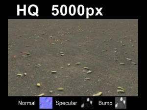 2x leaves on sand 2 high res set CG Textures