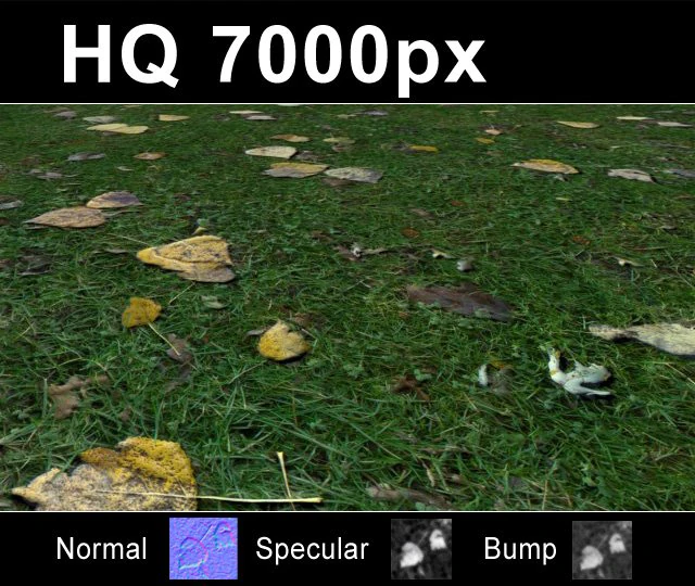 lawn 2 seamless grass hi res set CG Textures .c4d .max .obj .3ds .fbx .stl .blend 