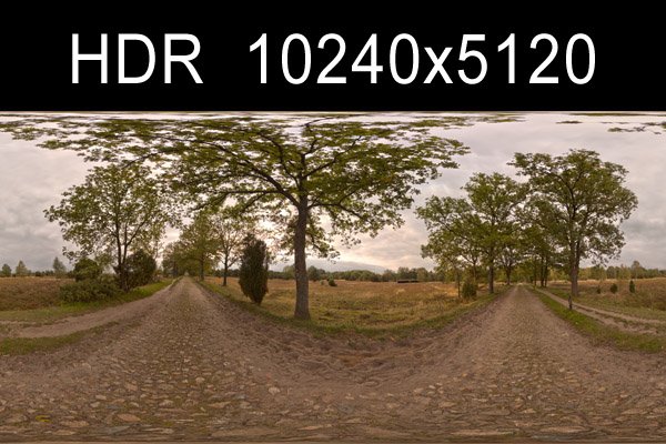 road with trees 2 hdr CG Textures .c4d .max .obj .3ds .fbx .stl .blend 