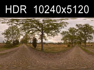 road with trees 2 hdr Tekstur CG