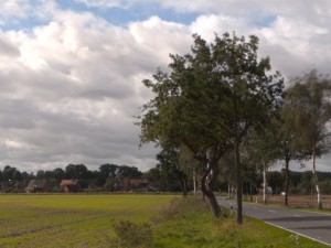 road in field 3 hdri environment CG 纹理