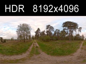 field path cloudy day 1 hdr 3D 模型