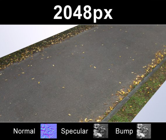 road with autumn leaves 2 CG टेक्स्चर्स .c4d .max .obj .3ds .fbx .stl .blend
