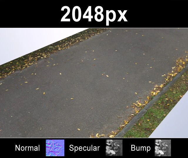 road with autumn leaves 2 CG Textures .c4d .max .obj .3ds .fbx .stl .blend