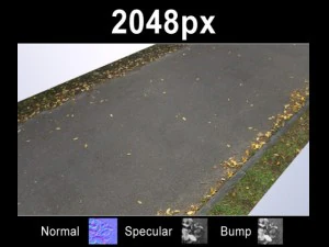 पतझड़ के पत्तों वाली सड़क 2 CG टेक्स्चर्स