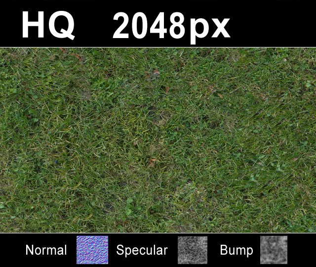 grass lawn 5 seamless map CG Textures .c4d .max .obj .3ds .fbx .stl .blend 