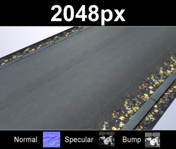 road with autumn leaves CG Textures .c4d .max .obj .3ds .fbx .stl .blend 