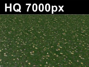 lawn 2 seamless grass map  hi res CG 纹理