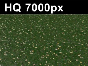 lawn 2 seamless grass map  hi res CG Textures