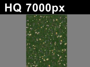 lawn 2 seamless grass map  hi res CG 纹理