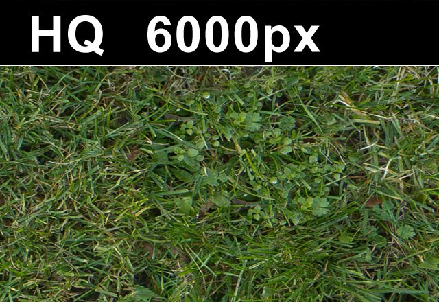 grass lawn 5 seamless map high res CG Textures .c4d .max .obj .3ds .fbx .stl .blend