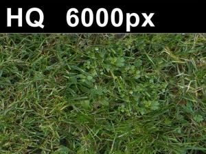 трава газон 5 безшовна карта високої роздільної здатності CG Текстури
