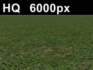 grass lawn 5 seamless map high res CG Textures