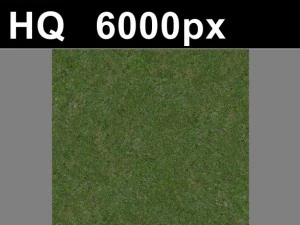 grass lawn 5 seamless map high res CG Textures