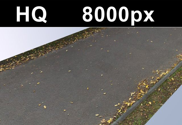 road with autumn leaves 2 hi res CG टेक्स्चर्स .c4d .max .obj .3ds .fbx .stl .blend 