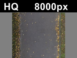 road with autumn leaves 2 hi res CG टेक्स्चर्स