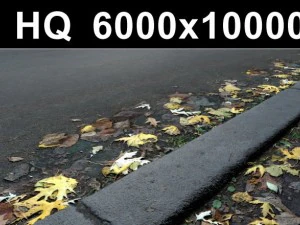 autumn leaves on road high res CG Textures