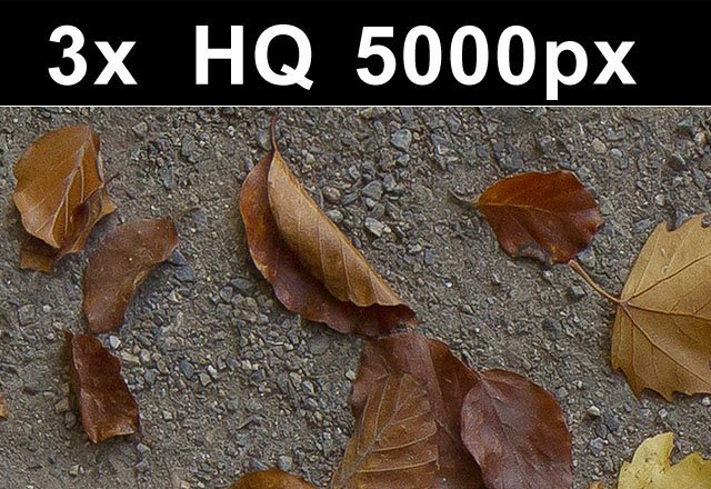 3x leaves on ground 1 high res Texturas CG .c4d .max .obj .3ds .fbx .stl .blend 