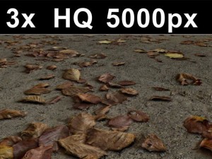 3x leaves on ground 1 high res Texturas CG