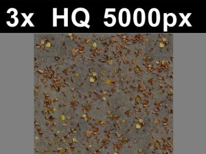 3x leaves on ground 1 high res Texturas CG